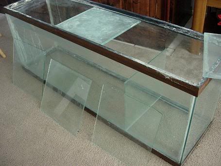 DSCN4256.jpg
