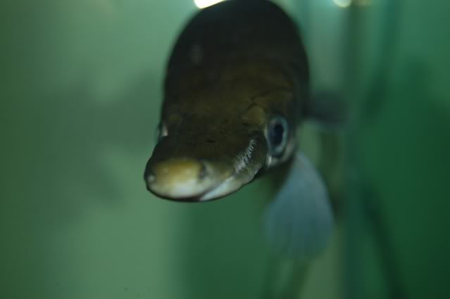 DSC_0429.jpg