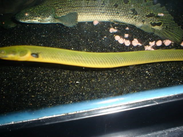 DSC07227.jpg