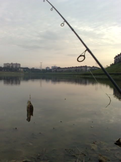 31122009088.jpg