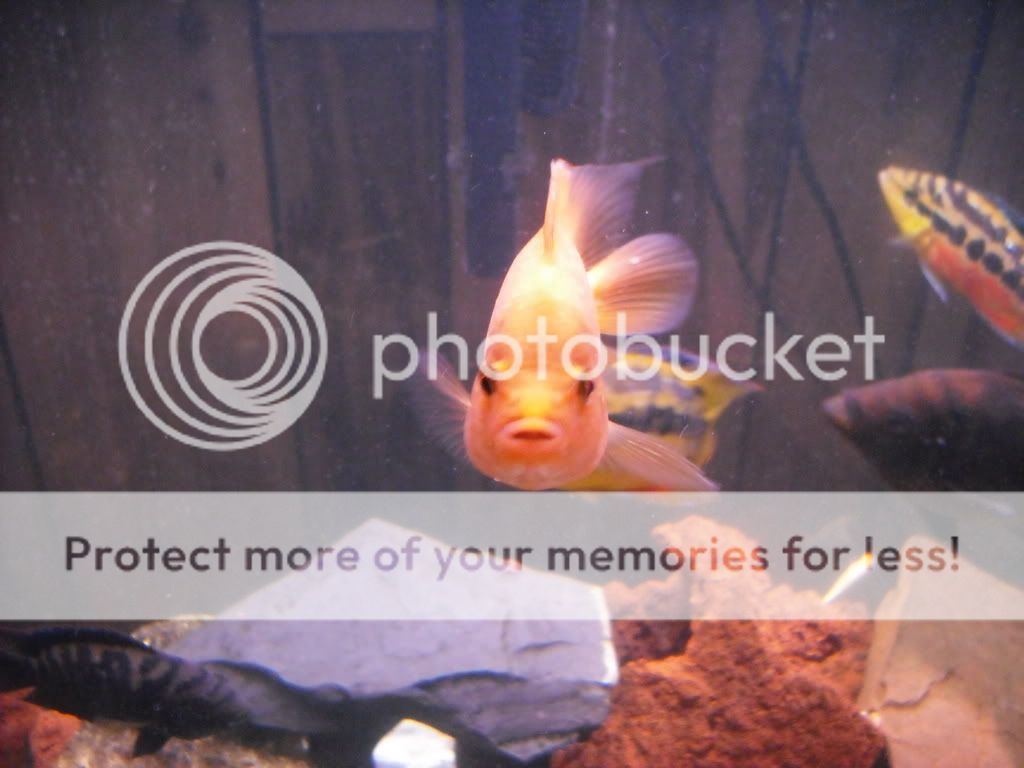 DSCF2043-1.jpg