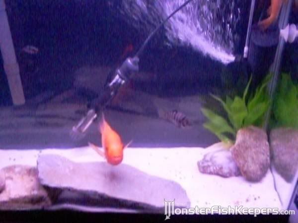 new_0031.jpg
