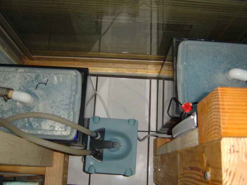 4-28-08008.jpg