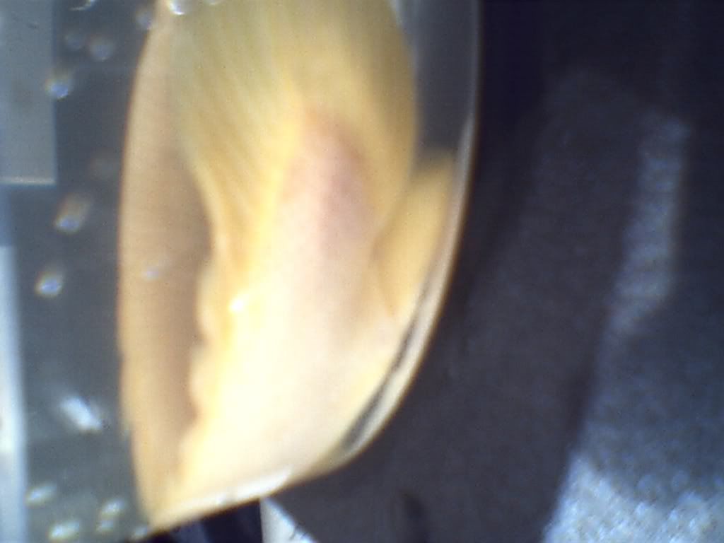 092403.jpg