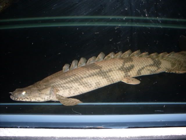 SDC10019.jpg