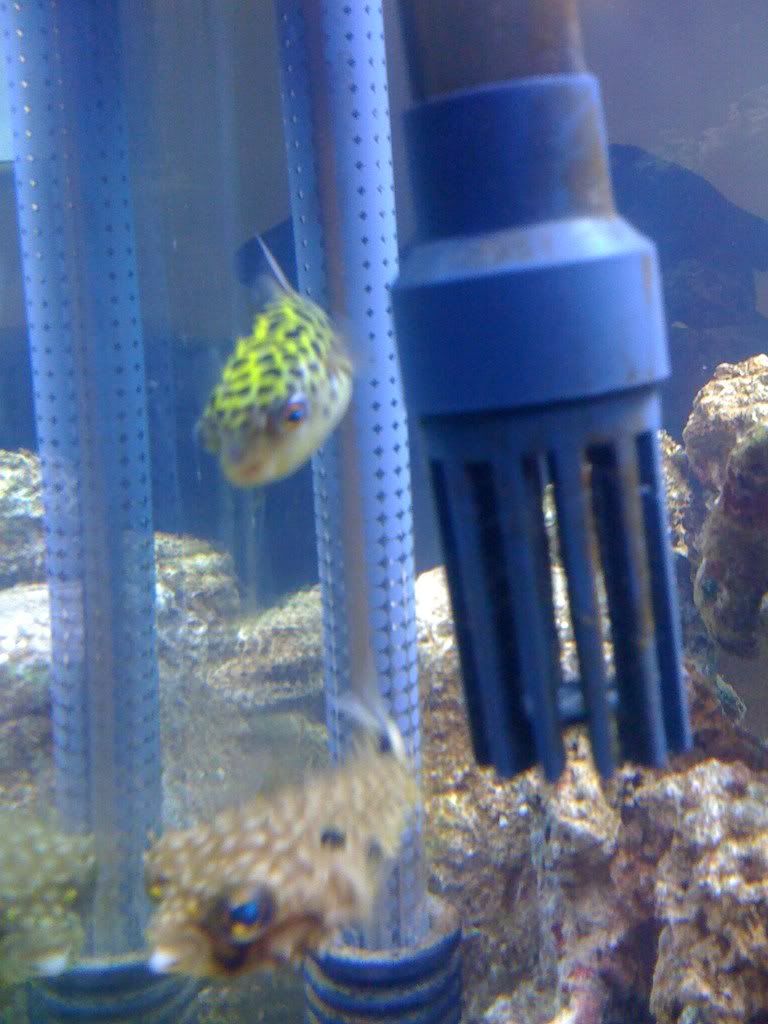 iphonepics080.jpg