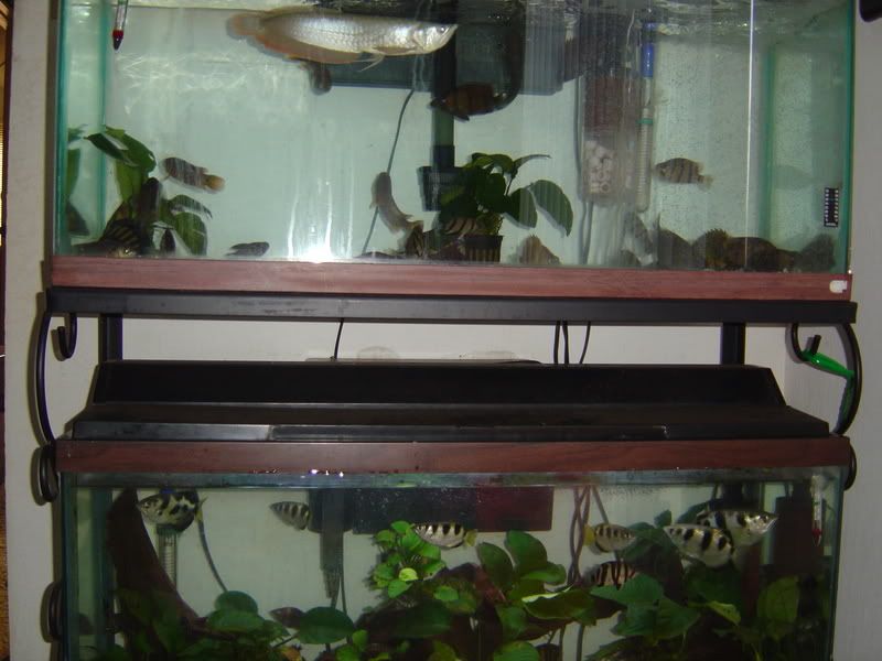 120gpt2010.jpg