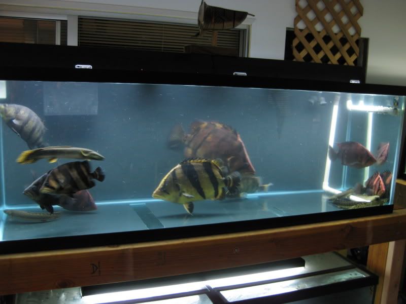 4-19-09020.jpg