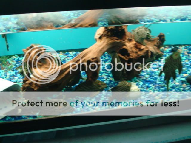 DSC05815.jpg