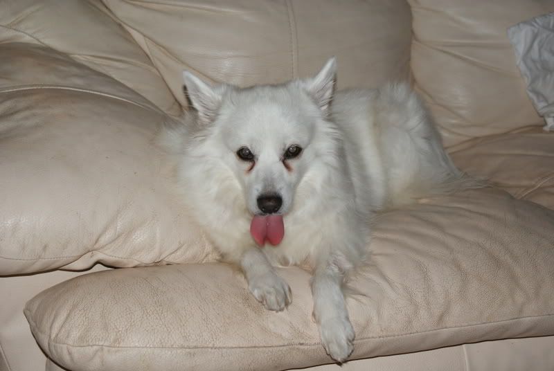 DSC00037.jpg