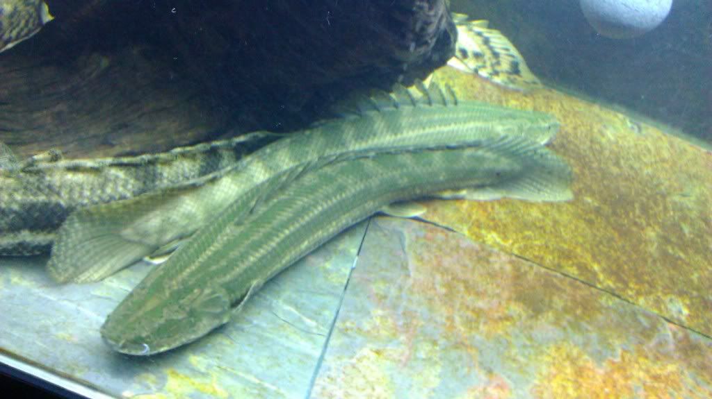 IMAG0947.jpg