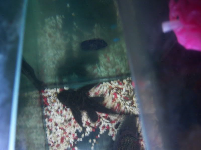 100_0204.jpg