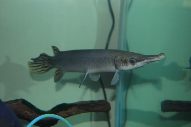 DSC_0439.jpg