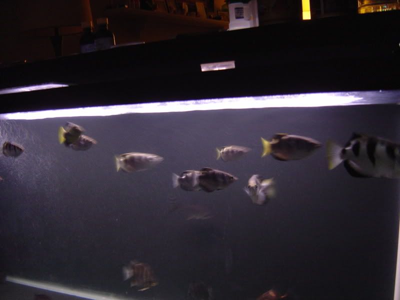 7-18-08039.jpg