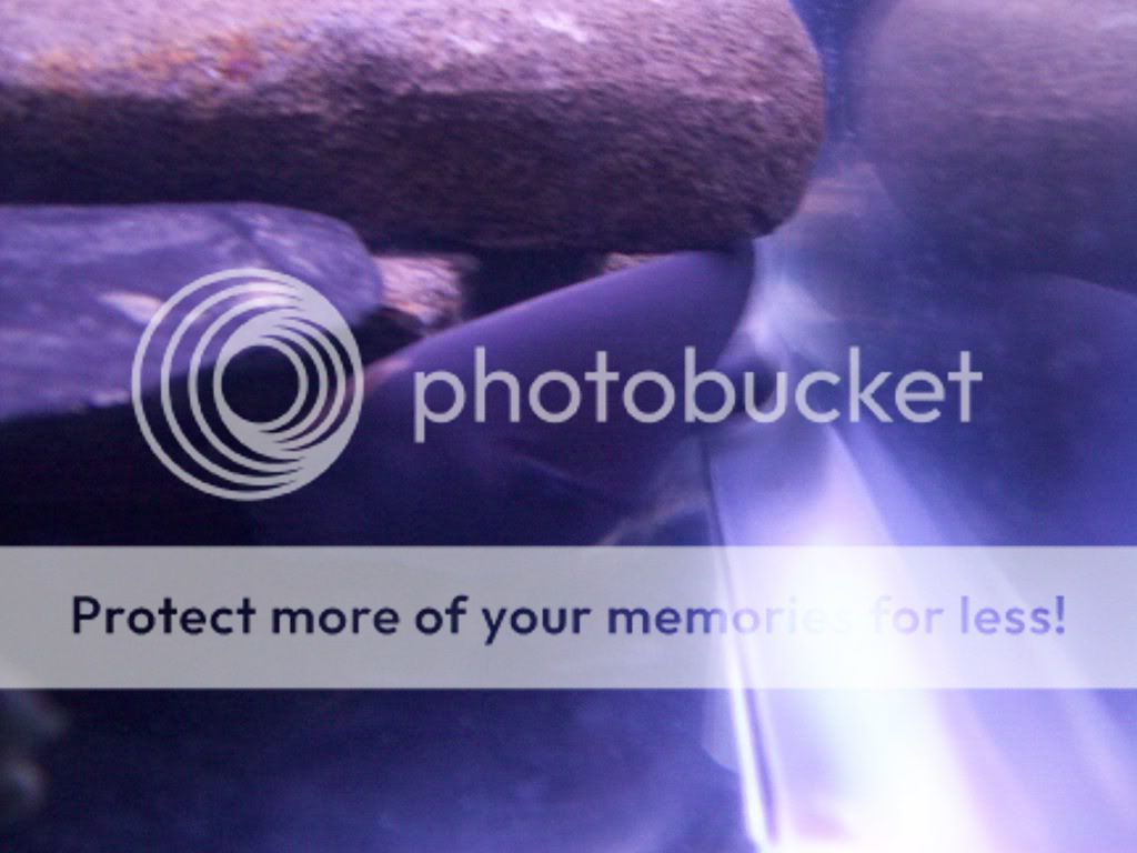 000_0015-3.jpg