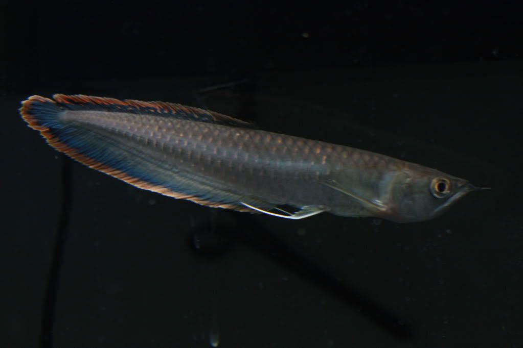 IMG_8513.jpg