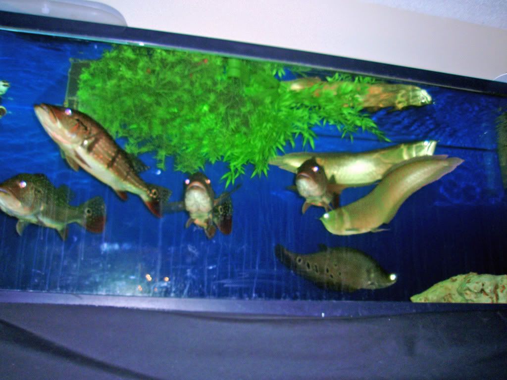 P1010619_edited.jpg