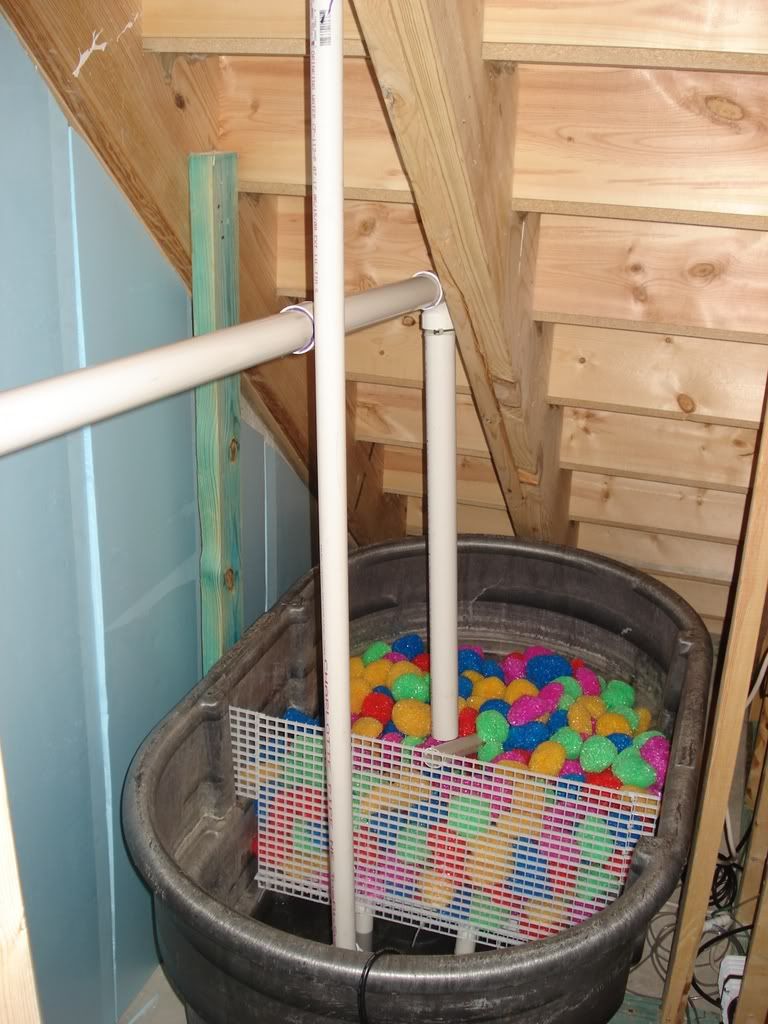 DSC02038.jpg