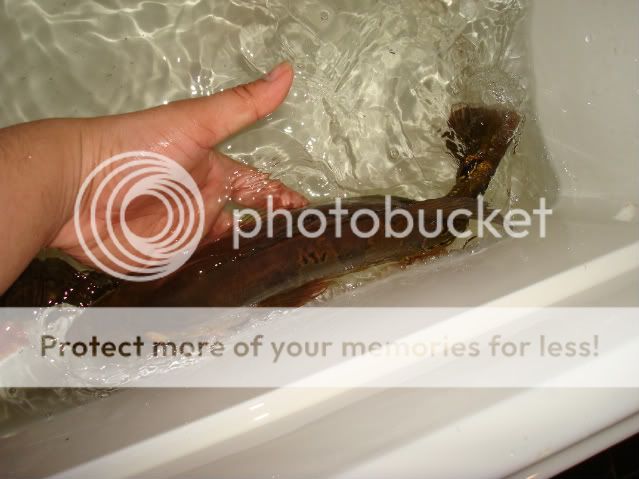 DSC02840.jpg