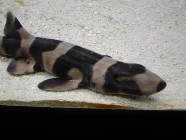 PC270018.jpg