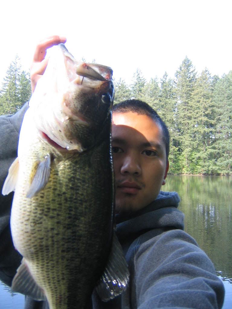 bassin07014.jpg