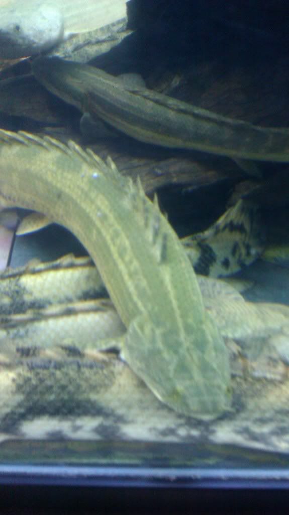 IMAG0760.jpg
