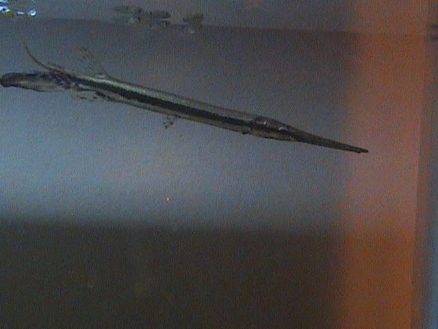 DSC01071.jpg