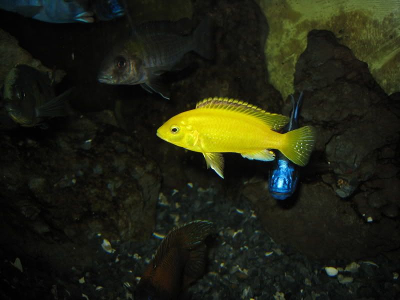 IMG_2009.jpg