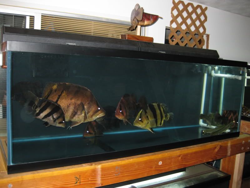 4-25-09009.jpg