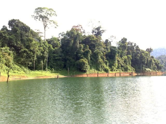 10082010895.jpg