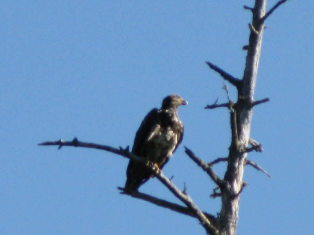 IMG_0493.jpg
