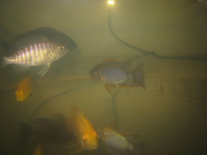 IMG_2297.jpg