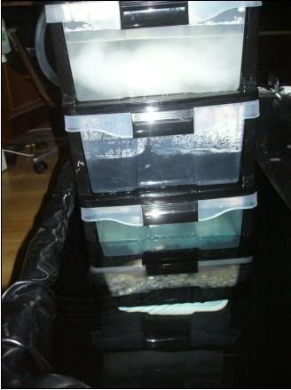 filterinserts.jpg