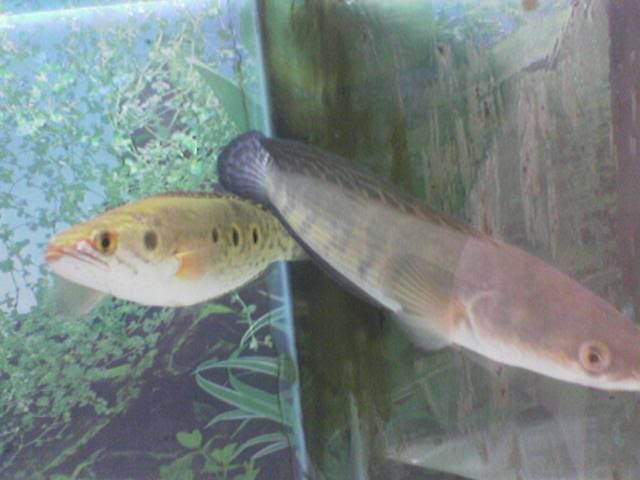 Image846.jpg