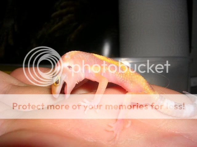 DSCN4930.jpg