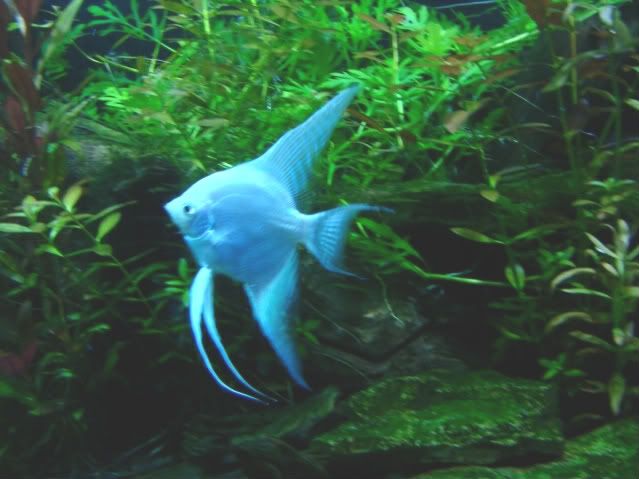 DSC03854-1.jpg