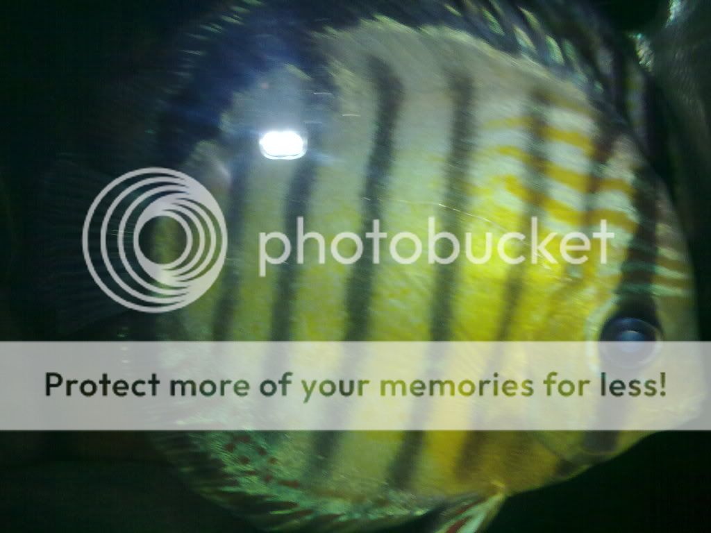 28052009110.jpg