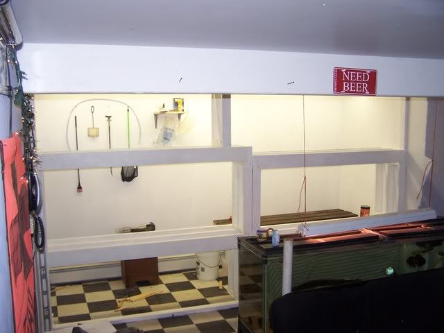 fishwall014.jpg