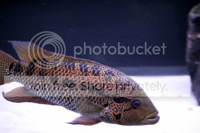 IMG_8061.jpg