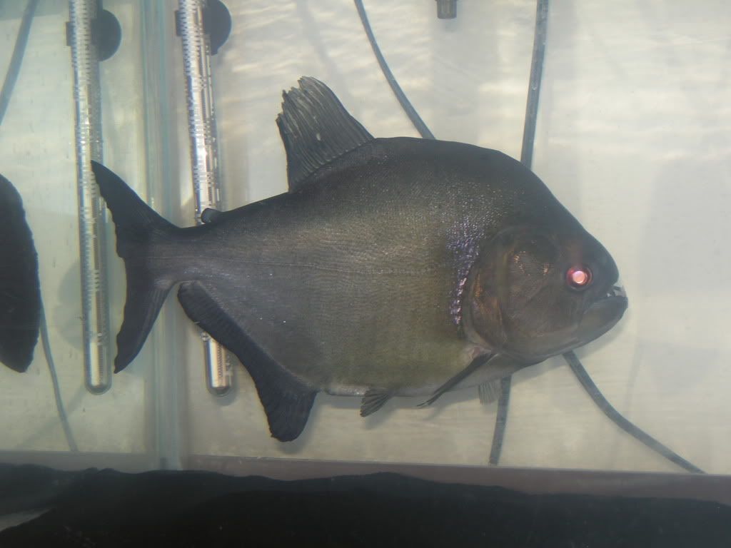 DSCN3240.jpg