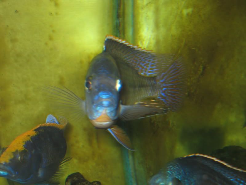 IMG_3425.jpg
