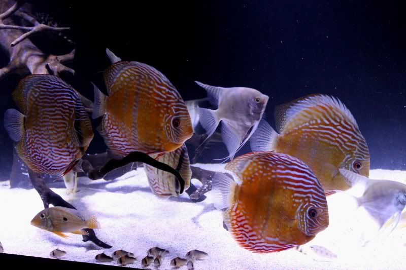Group1-2.jpg