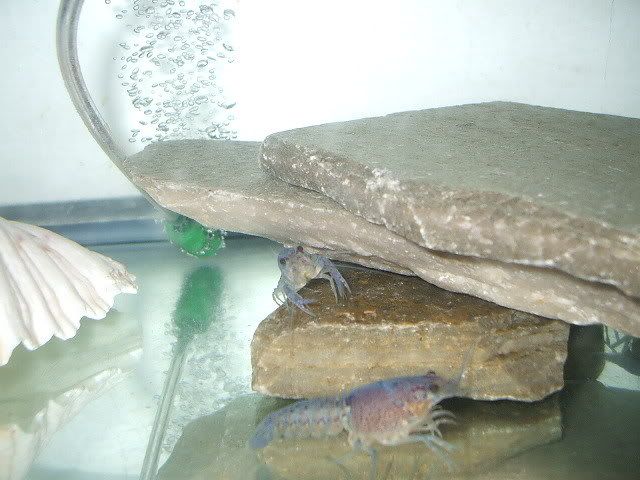 DSCF0576.jpg