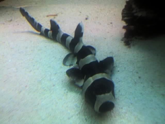 11-01-07_1638.jpg