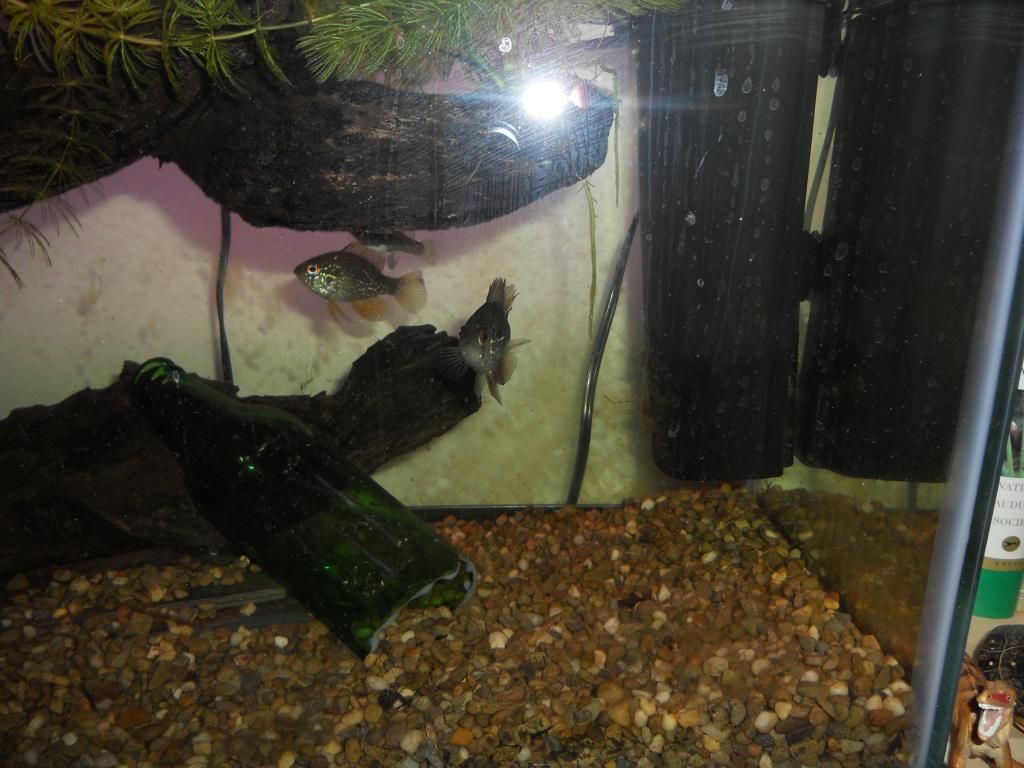 DSCN2089.jpg