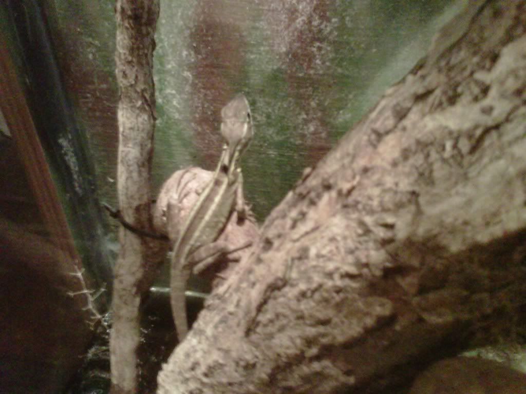 IMG00214-20110430-1844.jpg