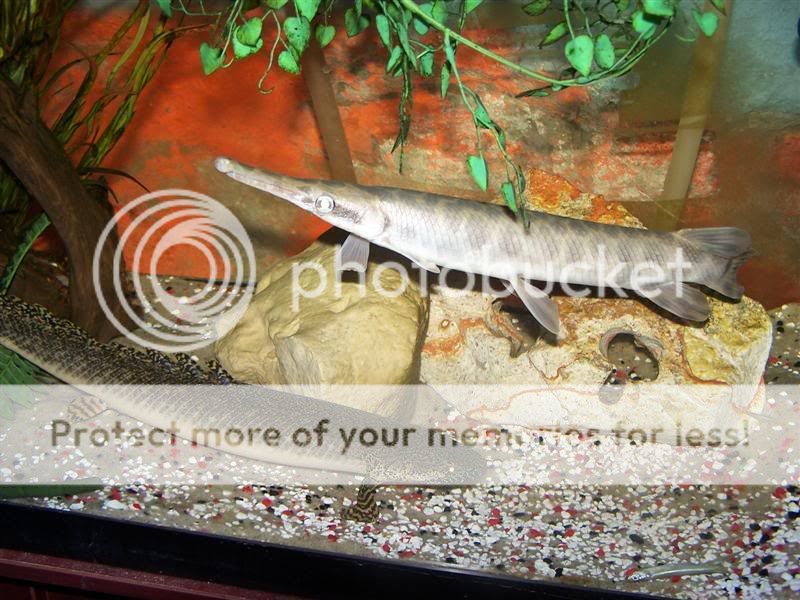 100_8726Medium.jpg