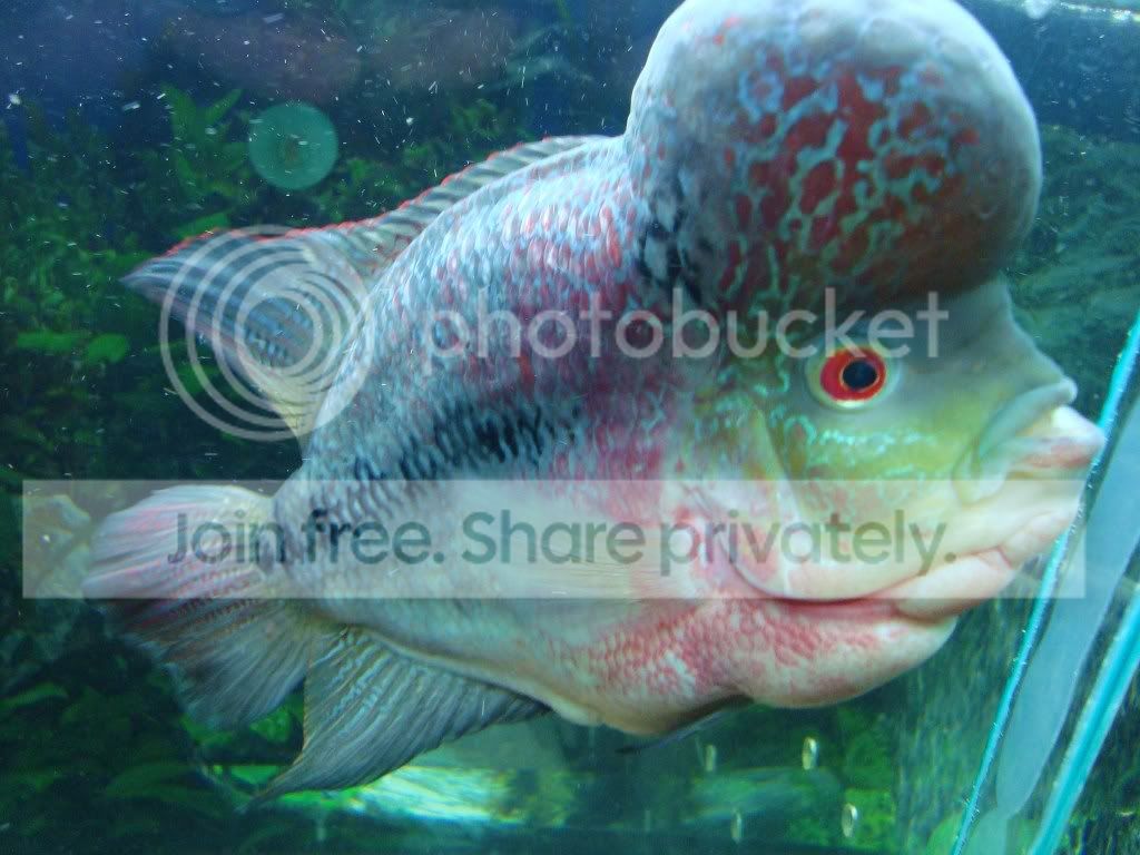 DSC05304.jpg
