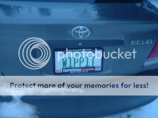 echo2.jpg