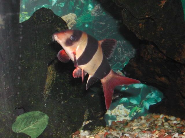 DSCN5153.jpg